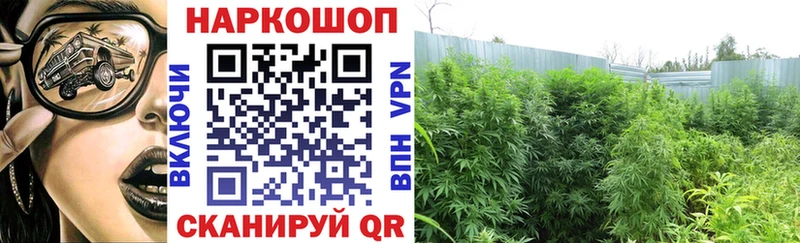 ГАШ Уяр