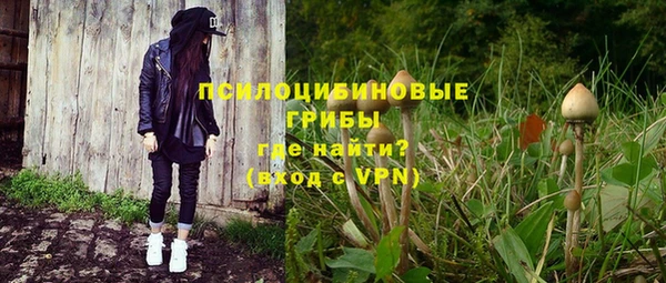 метадон Михайлов