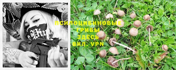 метадон Михайлов