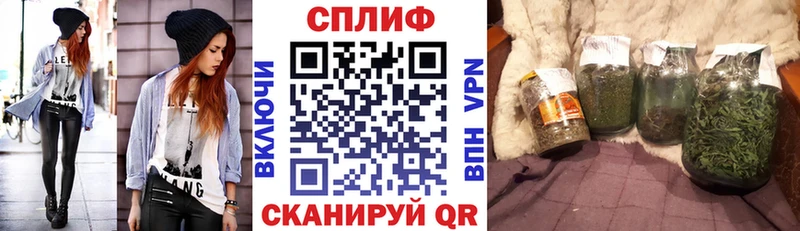 Канабис планчик  Уяр 